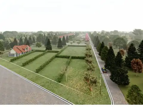 TERRENO ALVAREZ BARRIO ABIERTO LAS TIPAS CONTINUACION DE OV.