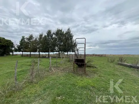 Campo en R36 (km 50) y Camino a Payro