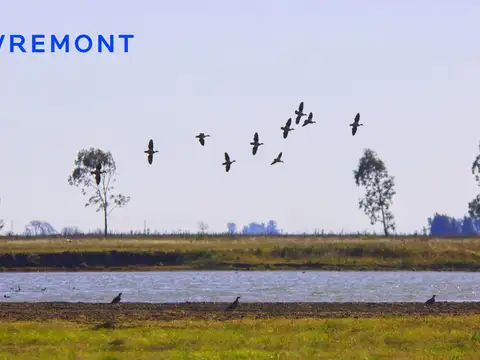 Terreno en Venta 37  mts Frente