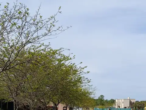 LOTE BARRIO "LOS PALENQUES", MANZANARES, PILAR