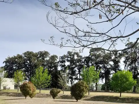 Club de Campo "Los Palenques" Manzanares, Pilar