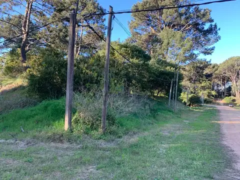 Terreno - Venta - Uruguay, Punta del Este