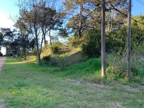 Terreno en Venta de 7800,0 m2