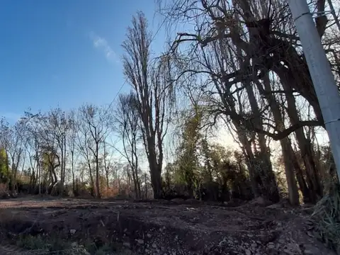 Terreno en Venta de 942,0 m2