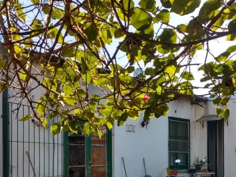 Piedras 23