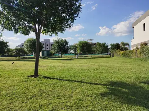 LAGOON UF 100