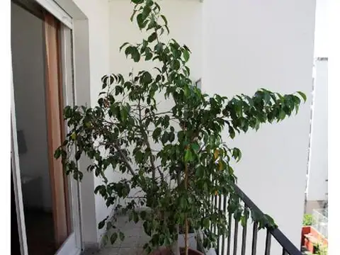 Departamento en Alquiler en Palermo, USD 3.200