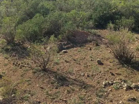 Terreno en Venta de 2000,0 m2