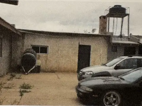 YPEFIANOS 100