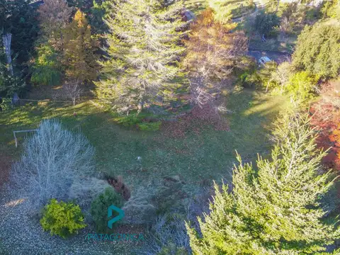 VENTA - Lote de 3000 m2 s/blvar quetrihue  parquizado