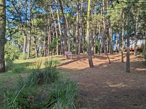 Terreno en Venta 45  mts Frente