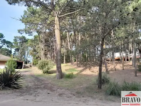 Terreno en Venta 15  mts Fondo