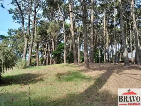Cruz del Sur y Juan 100