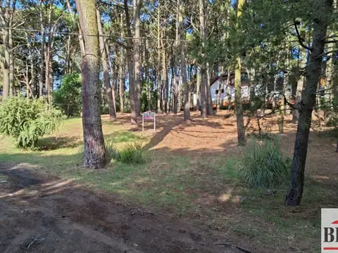 Cruz del Sur y Juan 100