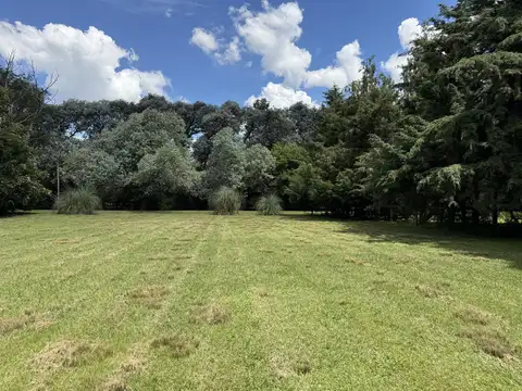 Terreno en Venta de 2028,0 m2