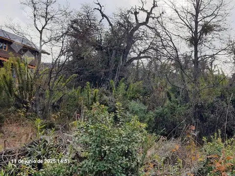Venta-Terreno-Alto Kaleuche Manzana 3 Lote 25-San Martin de los Andes