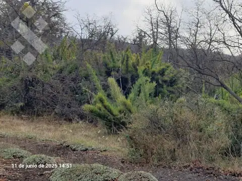 Venta Terreno 600 m2 - Bº Kaleuche Alto - San Martin de los Andes