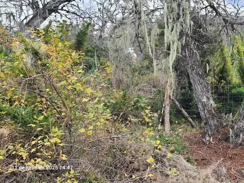 Terreno en Venta de 600,0 m2