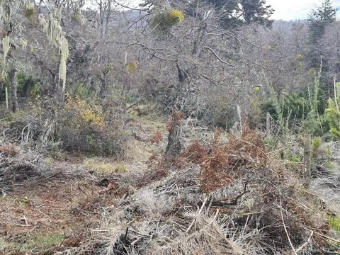 Terreno en Venta en Caleuche, USD 20.000