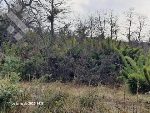 Terreno en Venta 48  mts Fondo