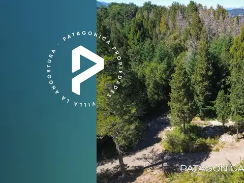 VENTA LOTE 1.320m2 B° CERRADO LAS BALSAS, VILLA LA ANGOSTURA