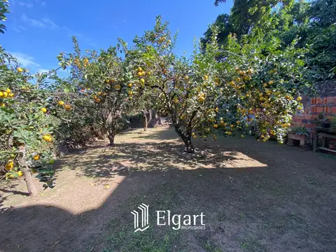 Federico Helguera 700