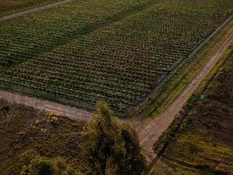 Terreno en Venta de 80,0 m2