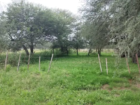 CALLE PUBLICA S/N - HUANQUEROS -