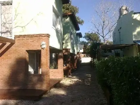 Paseo 132 100