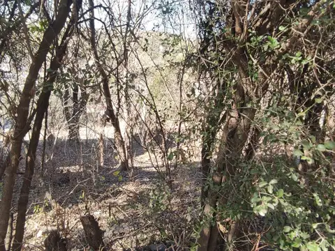 Terreno en Venta en Salsipuedes, USD 8.000