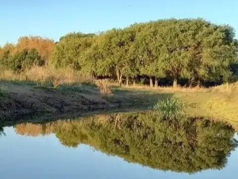 Ruta Interbalnearia Km 337