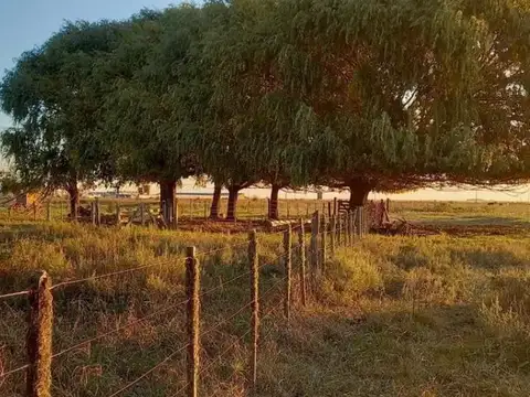 Ruta Interbalnearia Km 337