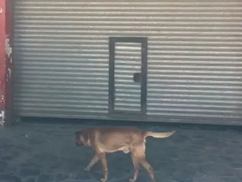 GalpÃ³n - Venta - Argentina, José C Paz - Domingo Faustino Sarmiento 4600