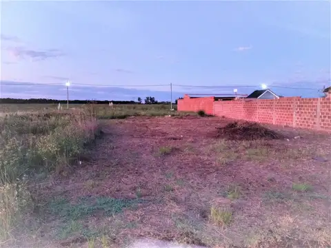 50