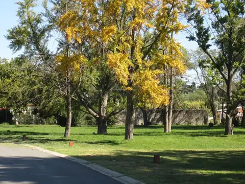 LOTE EN VENTA BARRIO CERRADO SOLARES DE ZAPIOLA