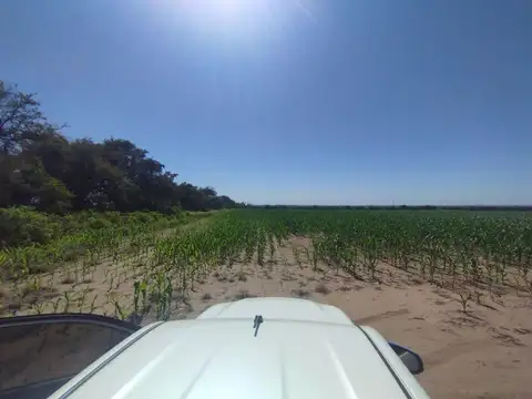 VENDO campo 29 has.