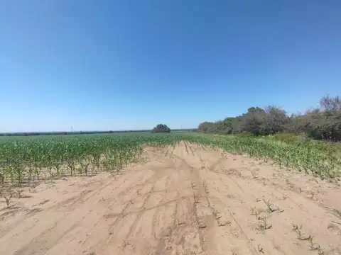 Auto Via Calamuchita