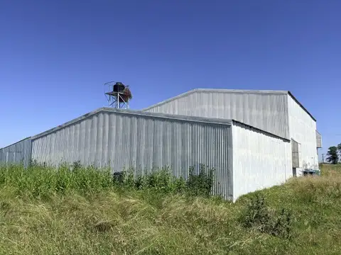 Criadero de Pollo - Nave Industrial 378 m2 - Ibarlucea