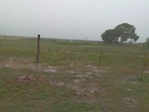 numero 11 de la manzana 42, medidas linderas , superficies y demas circunstancias