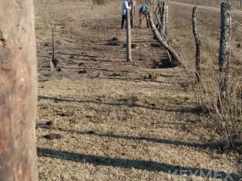 numero 11 de la manzana 42, medidas linderas , superficies y demas circunstancias