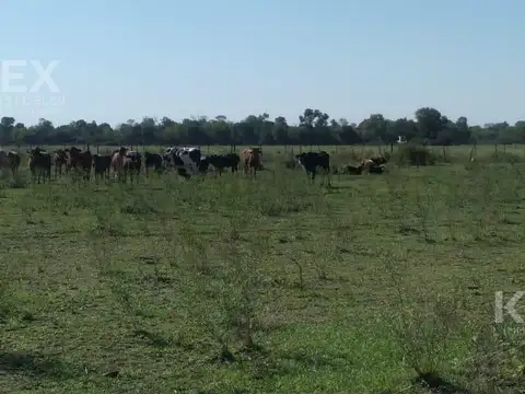 numero 11 de la manzana 42, medidas linderas , superficies y demas circunstancias