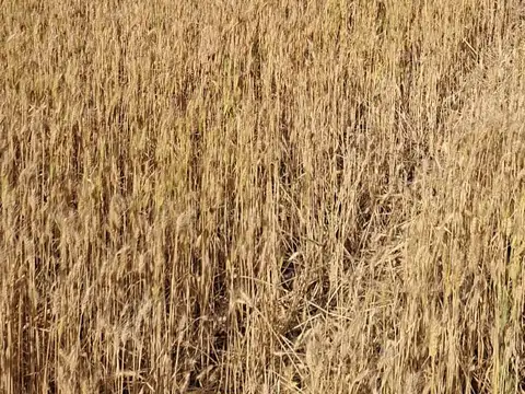 Terreno en Venta de 19980,0 m2