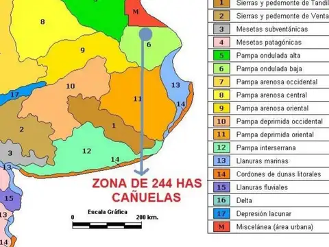 VENTA - Campo de 244 Hectáreas en Cañuelas, Ideal para Ganadería y Agricultura