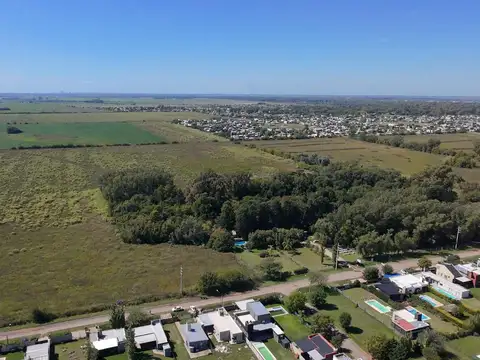 VENTA 10 HECTAREAS EN ROLDAN. CAMPO