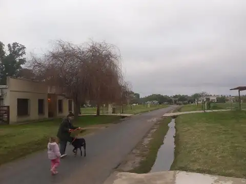 La pista  al 1200
