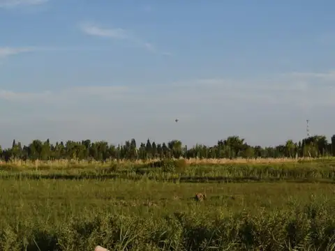 Servidumbre de Paso c/ salida a Carril N