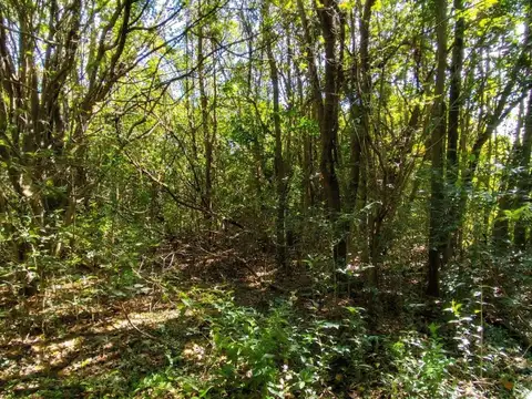 Terreno en Venta en Rosario, USD 198.000