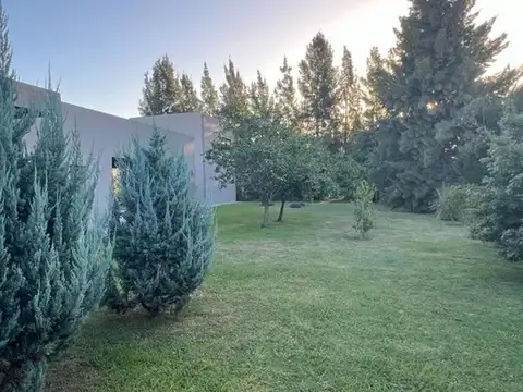 Av. Juan Pablo I I 1602