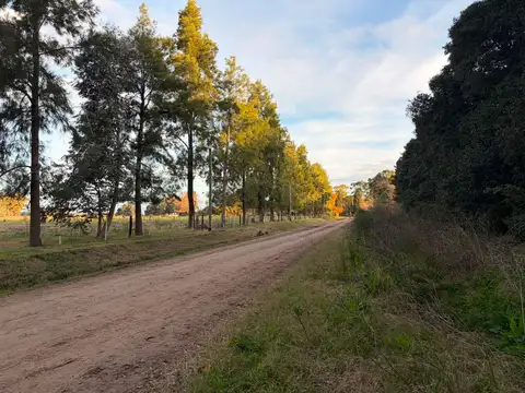 VENTA 7.8 HECTAREAS A 4KM DEL ASFALTO-MERCEDES(B)