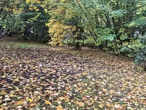 Terreno en Venta de 1974,0 m2